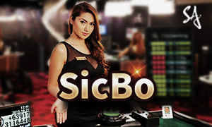 505bet bac bo cassino Jogue online